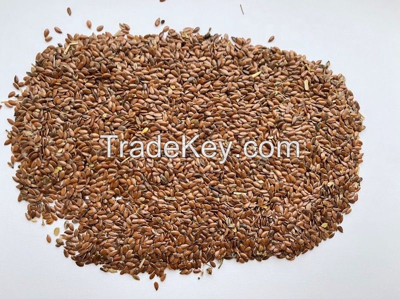 Flax Seed