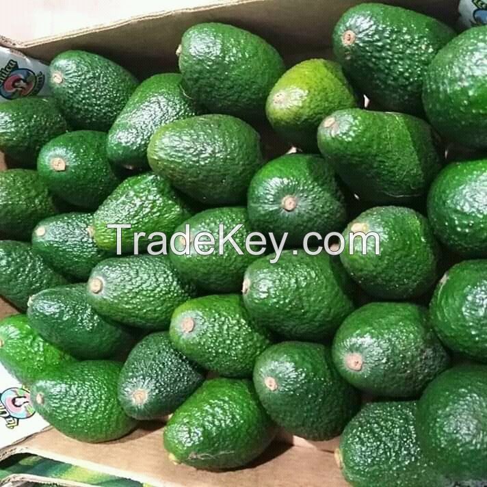 ORGANIC FRESH HASS AVOCADO