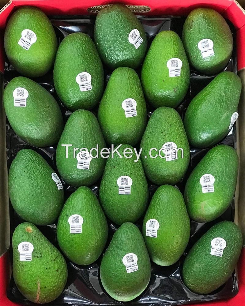 ORGANIC FRESH HASS AVOCADO