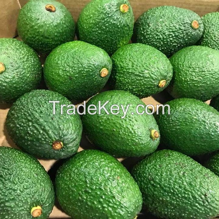 ORGANIC FRESH HASS AVOCADO