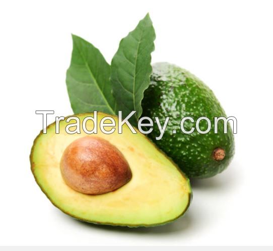 ORGANIC FRESH HASS AVOCADO