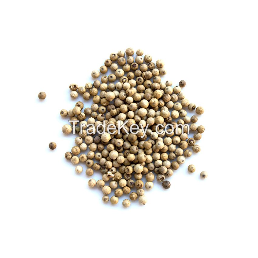 Wholesale white/black pepper best price