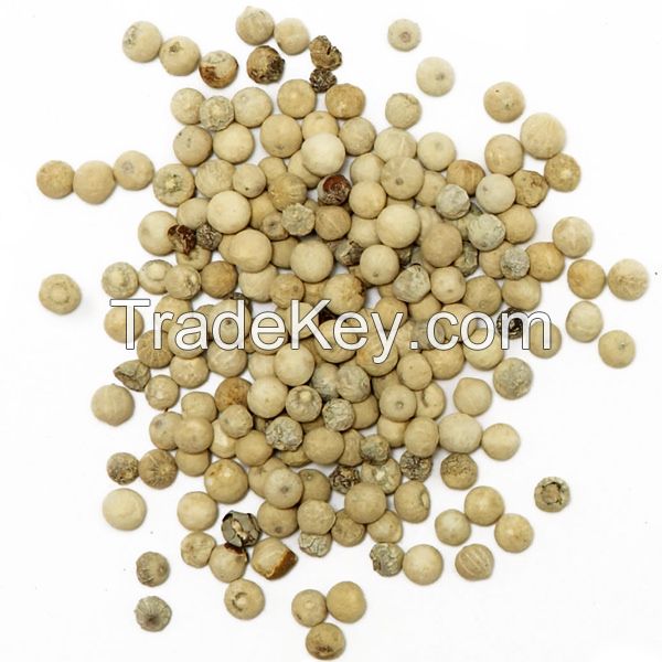 Wholesale white/black pepper best price