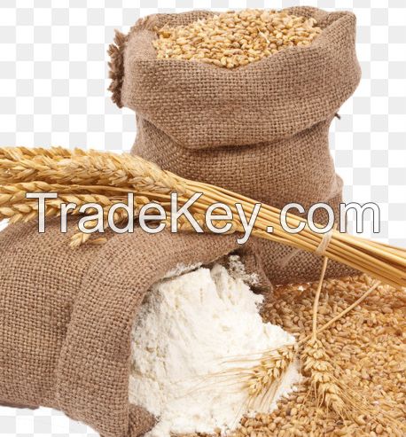 white wheat flour