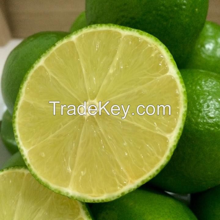 Montale Farm Directly Supply Fresh Fruit Lime Organic Lemon
