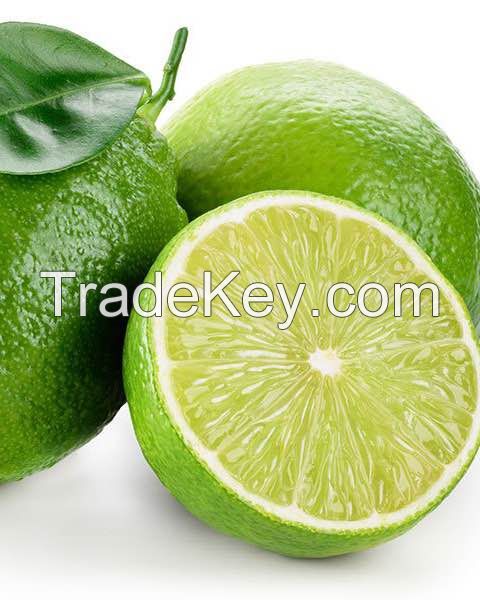 Montale Farm Directly Supply Fresh Fruit Lime Organic Lemon