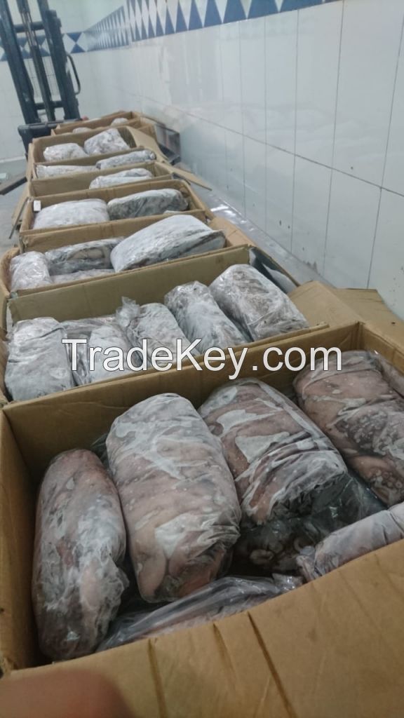 Hot Selling High Quality frozen octopus for sale from Morocco