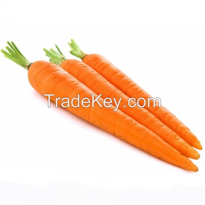 Freeze Dried Carrot Wholesale Natural Lyophilization Vegetables Slice