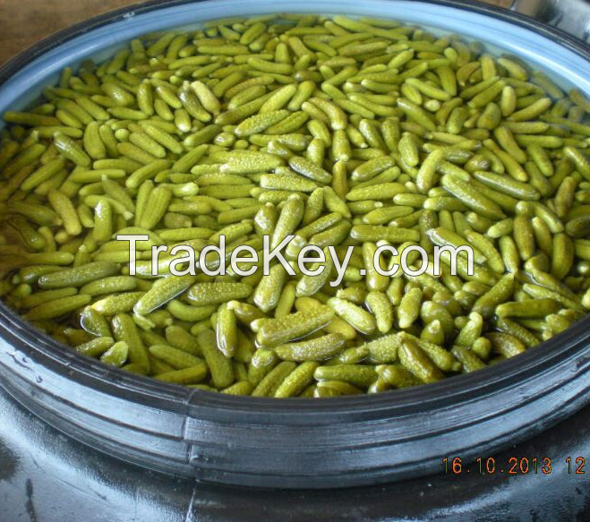 PICKLED CUCUMBER SIZE 3-6CM/ GHERKINS/ CORNICHON RUSSIAN