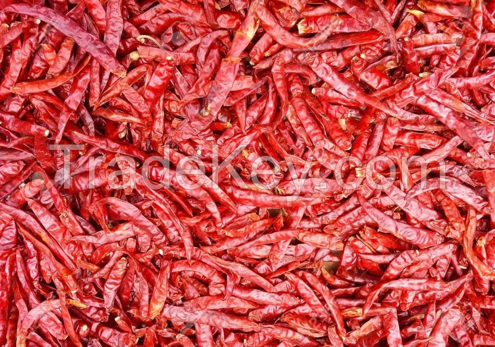 Chilli / dried chilli / red chilli powder