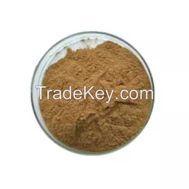 100% Natural Plant Powder Ferula  Asafetida Extract
