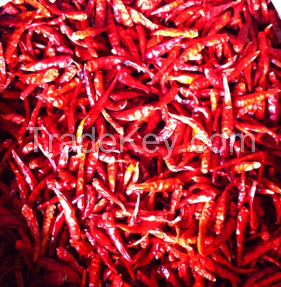 Chilli / dried chilli / red chilli powder