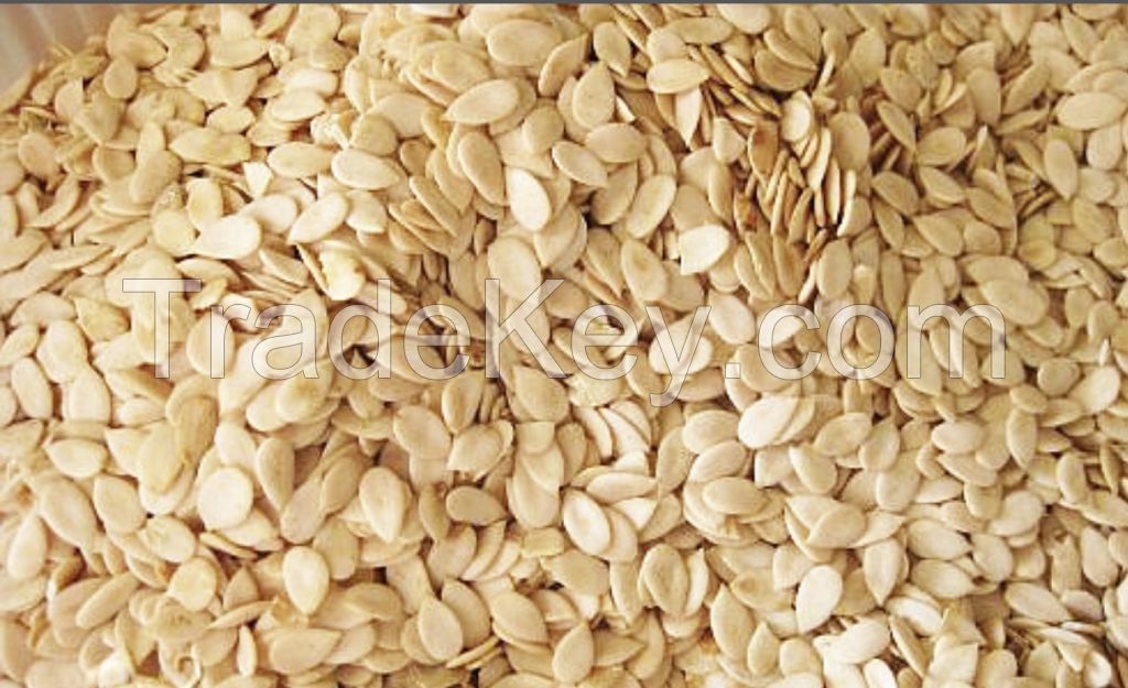 Melon Seeds 