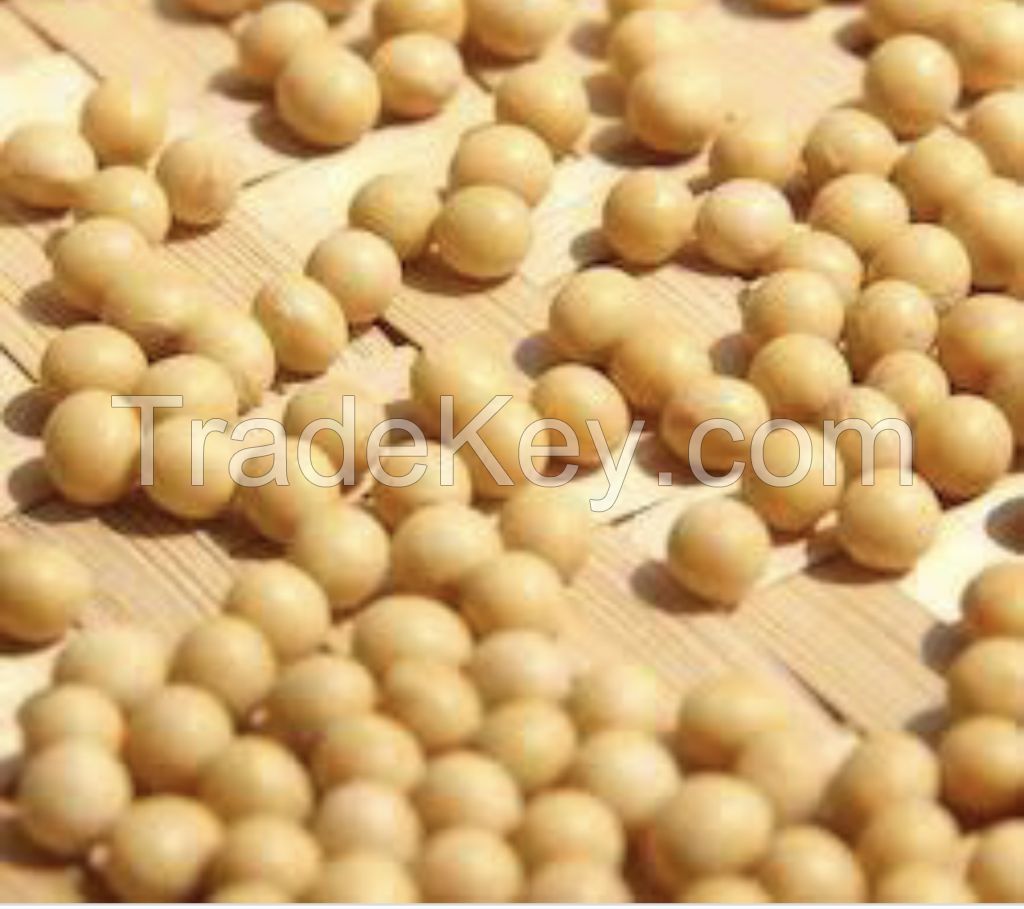 Soybeans