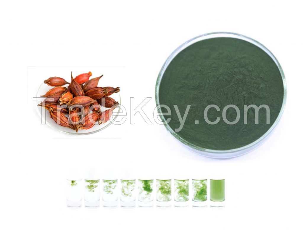 Green pigment extracted from gardenia