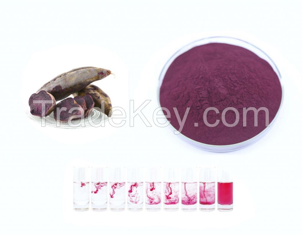 Anthocyanin Powder extracted from purple potato
