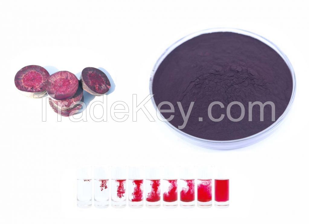 Anthocyanin Powder extracted from black carrot