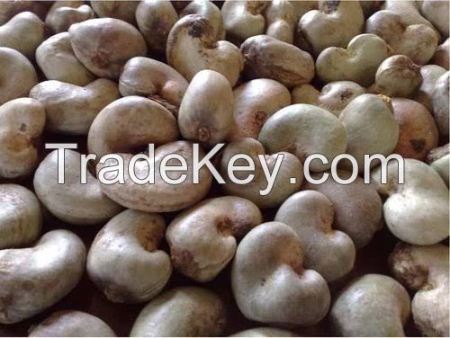 Raw Cashew Nuts