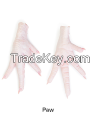 Chicken Feet & Paws