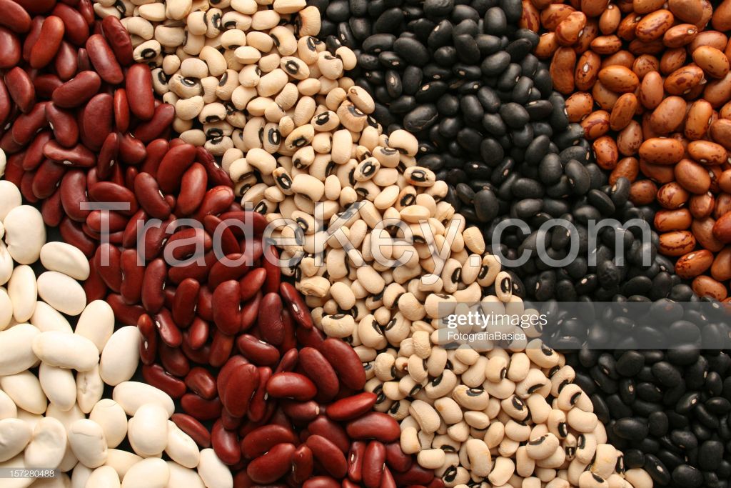 White Beans, Kidney Beans.