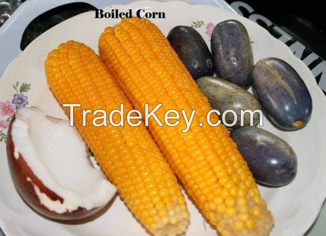 Maize (Corn, Agbado)