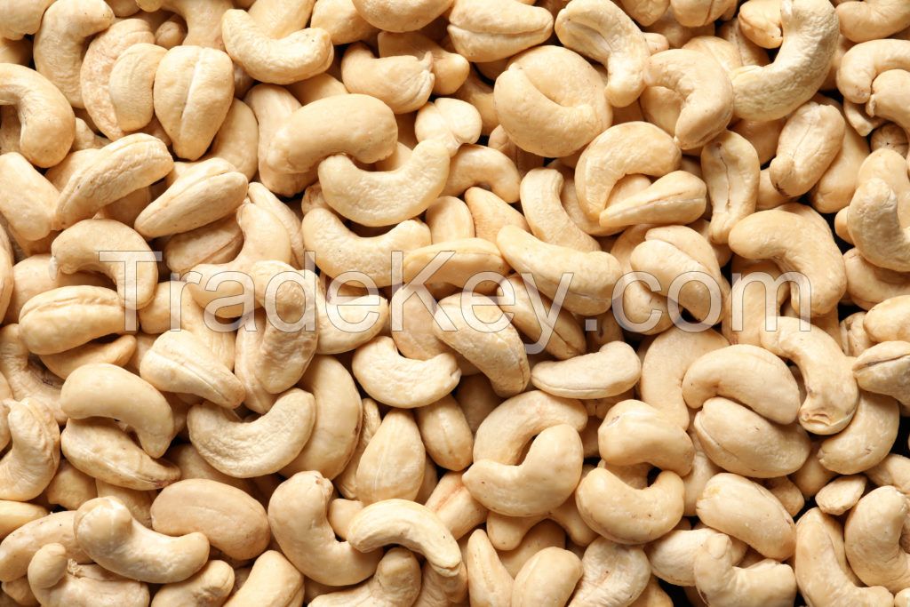 Cashew nut,