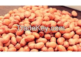 Cashew Nut, Ground nuts