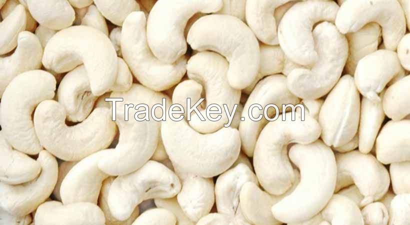 DRY YELLOW MAIZE