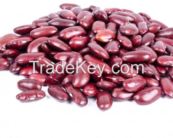 Red and white kidney beans.