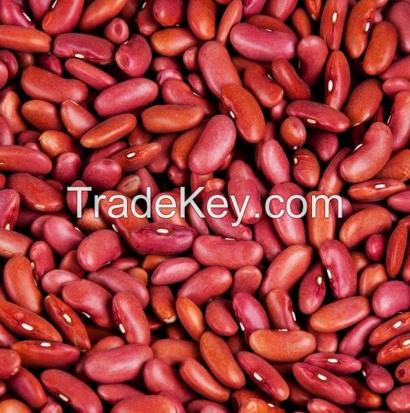 Red and white kidney beans.