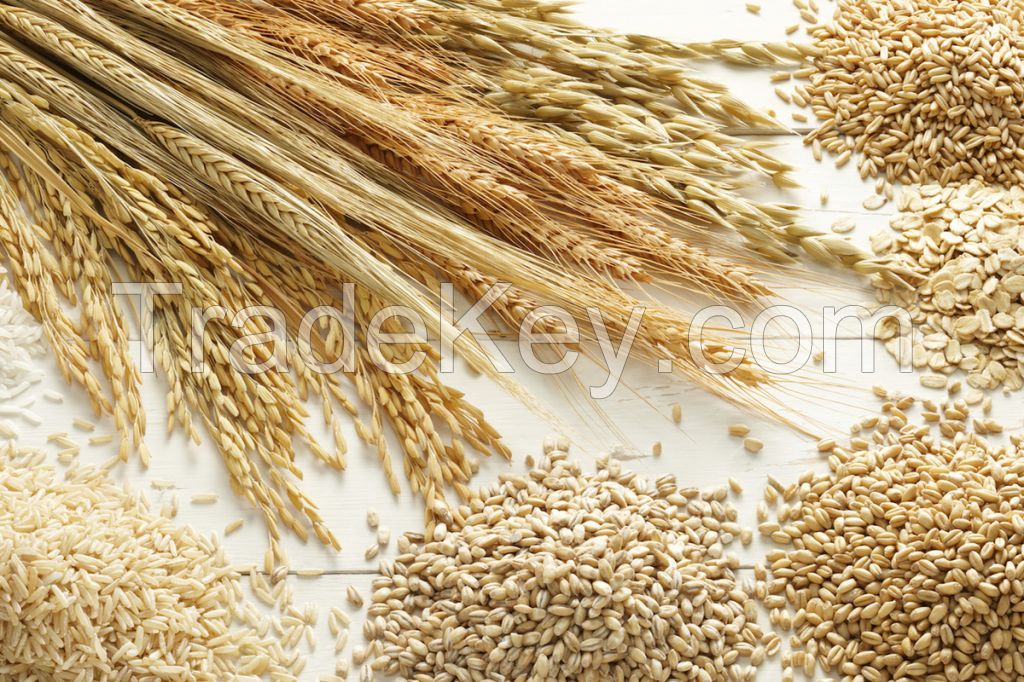 - Wheat; - Barley; - Yellow peas; - Green lentils; - Rapeseed; - Flaxseed; - Wheat flour; - Wheat bran; - Cereals in the assortment.