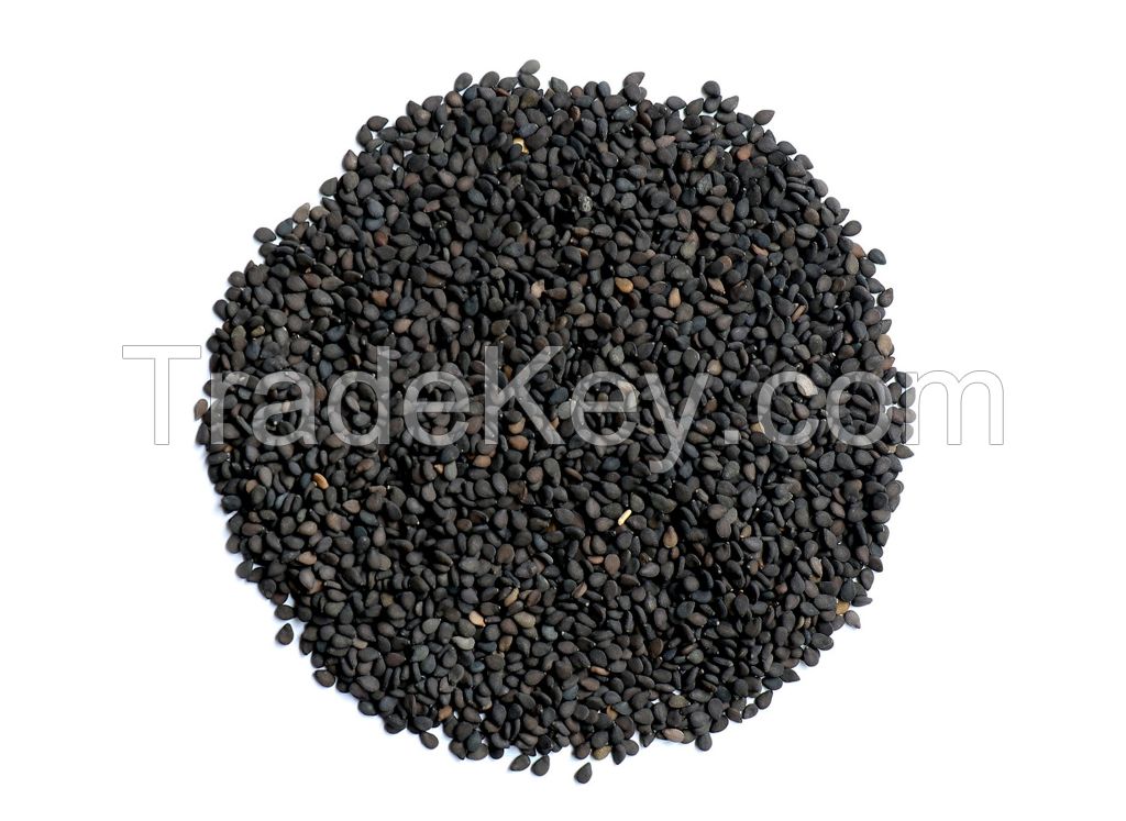 Sesame seed available in bulk for sale