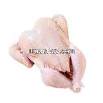 Grade A qualiko whole frozen chicken ready for export