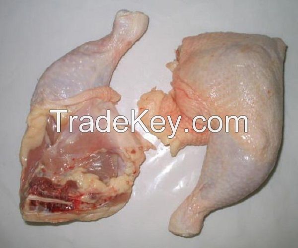 Grade A qualiko whole frozen chicken ready for export