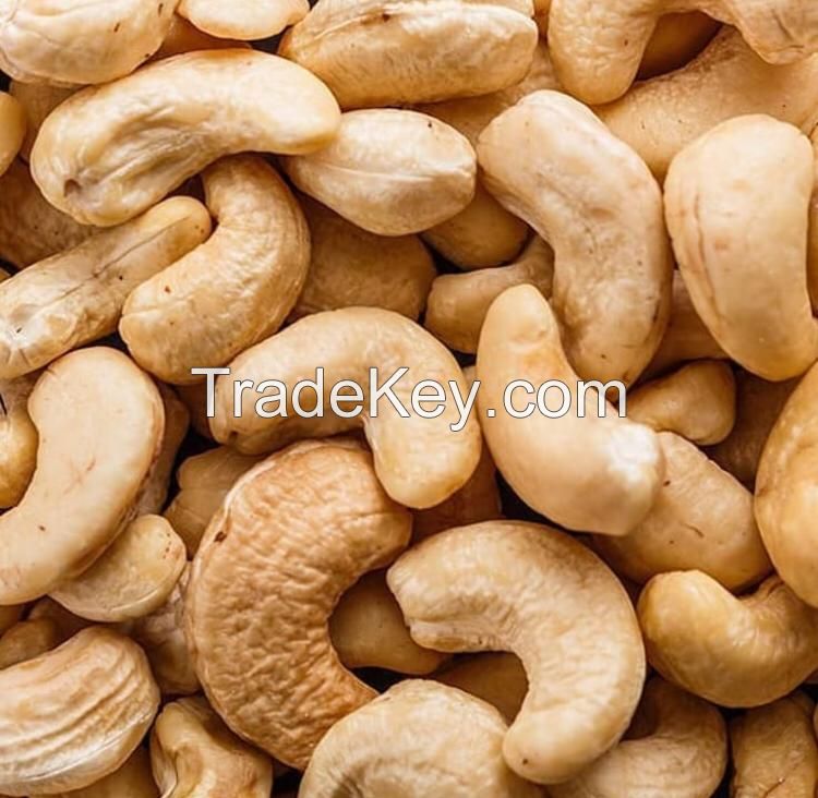 cashew nut