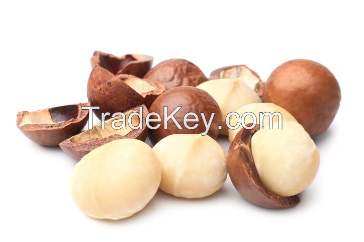 Raw Macadamia Nuts