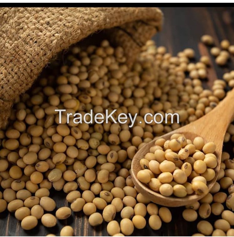 Soybeans