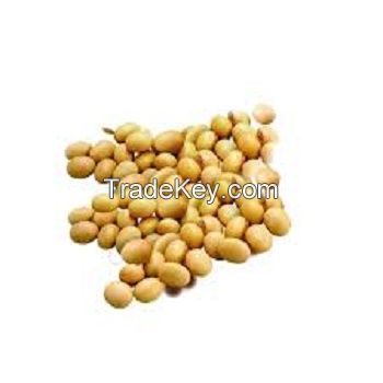 Good Quality Soybeans Wholesale Natural Soya Beans Soybean