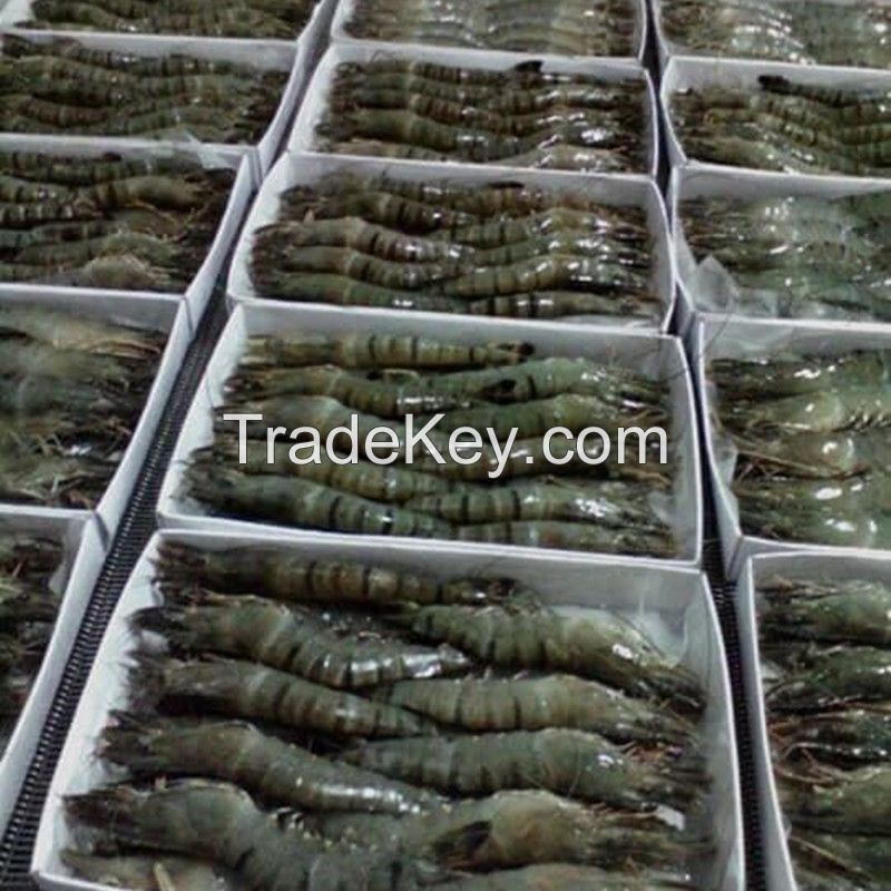 Hot Sale 15% OFF Guarantee Frozen Giant River Shrimp 900gr