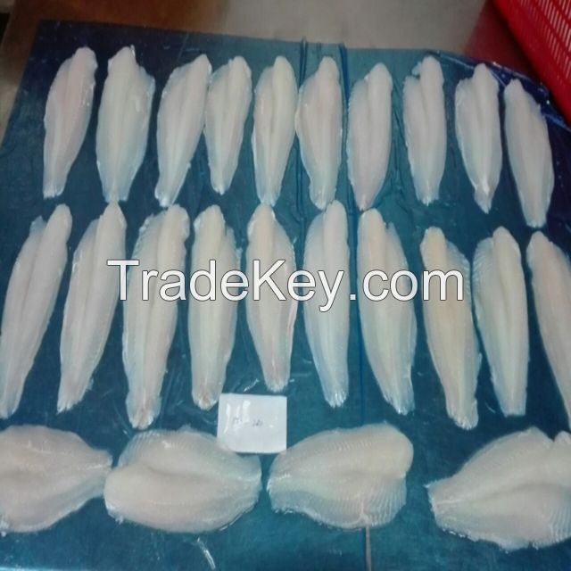 Frozen Pangasius fillet - Thailien