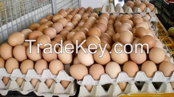 Chicken Eggs/ White And Brown