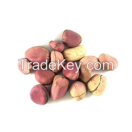 Kola Nut