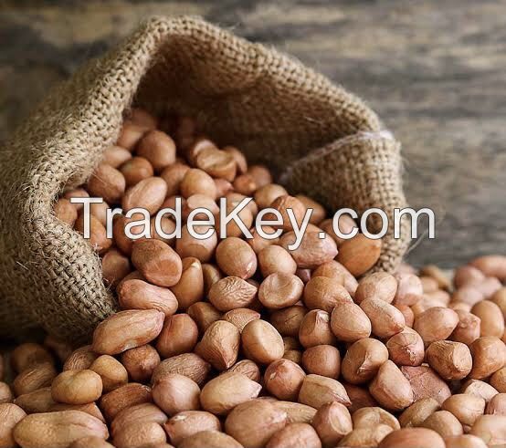 Groundnuts 
