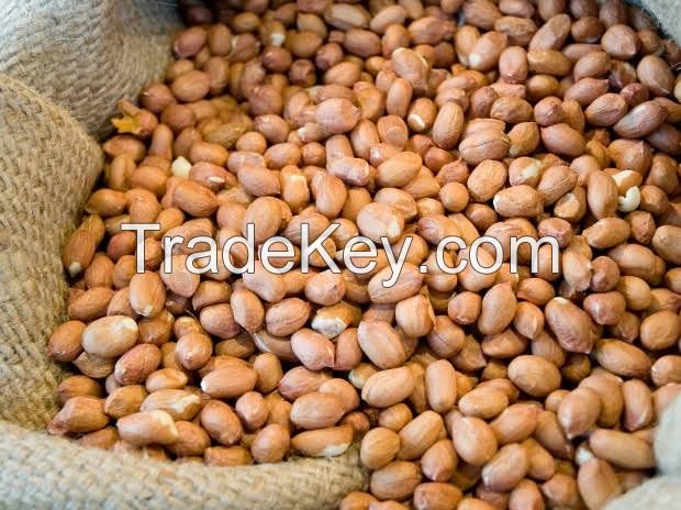 Groundnuts