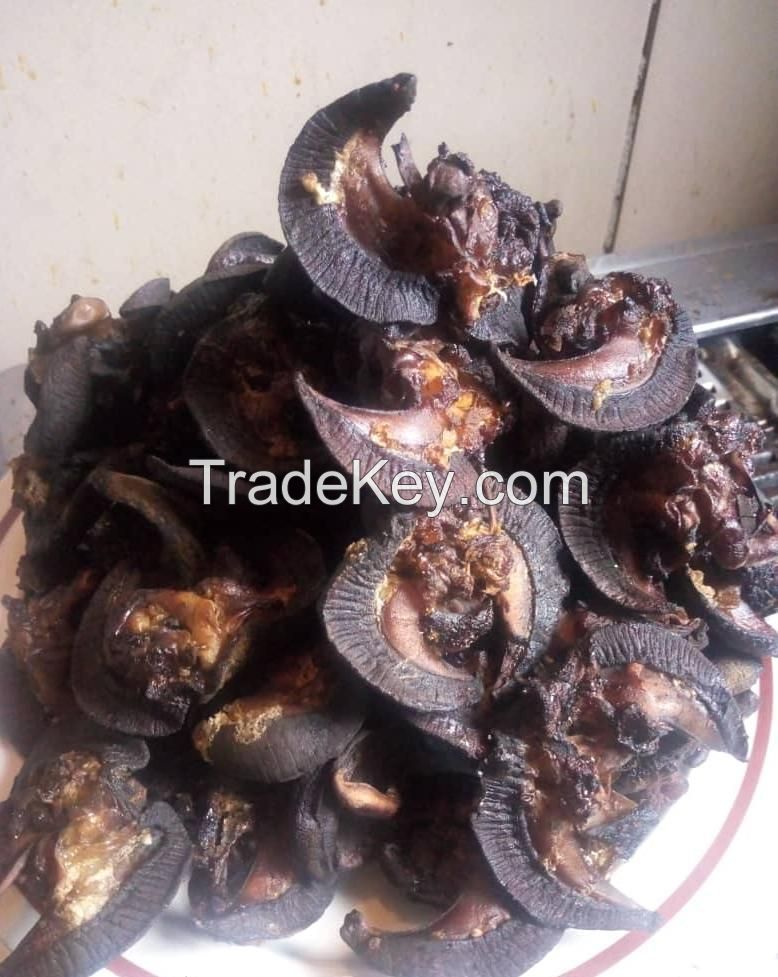 Dried African Snail