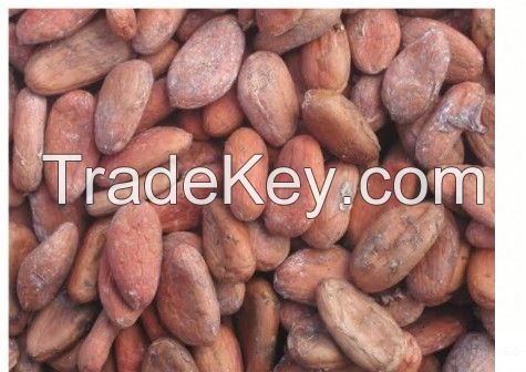 Dried Cocoa Beans