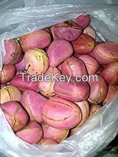 Kola Nut