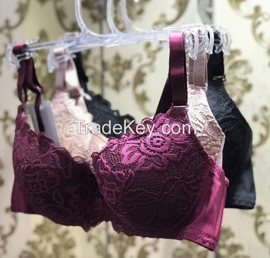 Full Coverage lace padded pushup underwire bra