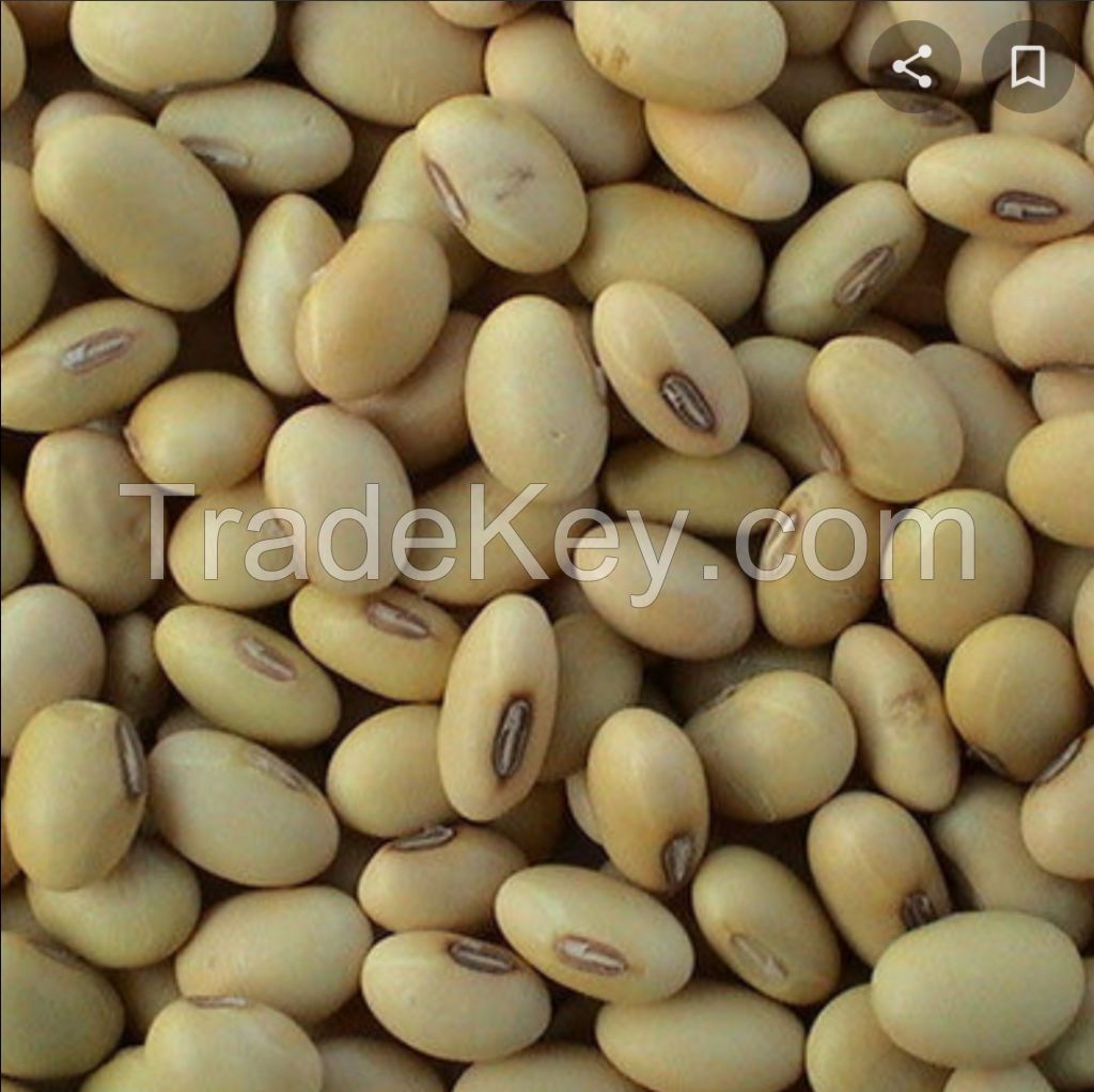 Soya beans