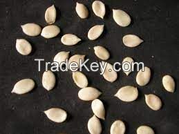 Melon (Egusi) seeds